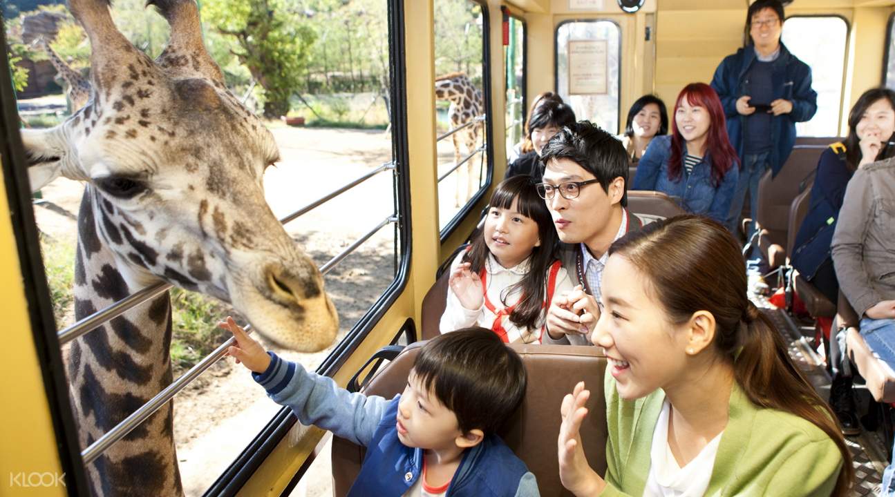 บัตรเข้าสวนสนุกเอเวอร์แลนด์ (Everland) สำหรับ 1 วัน (สแกน
